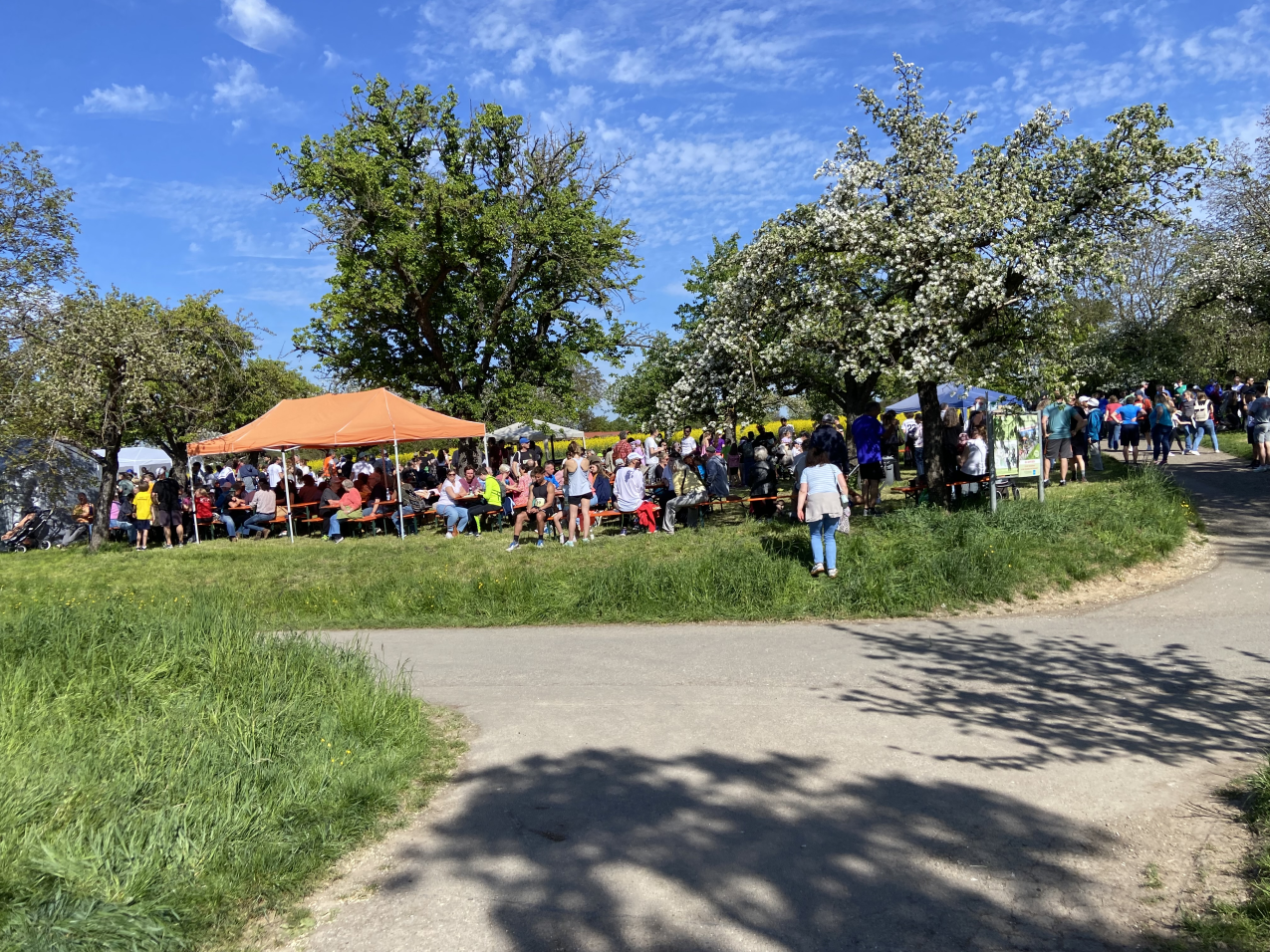 Hocketse Strombergstrassenlauf 2026